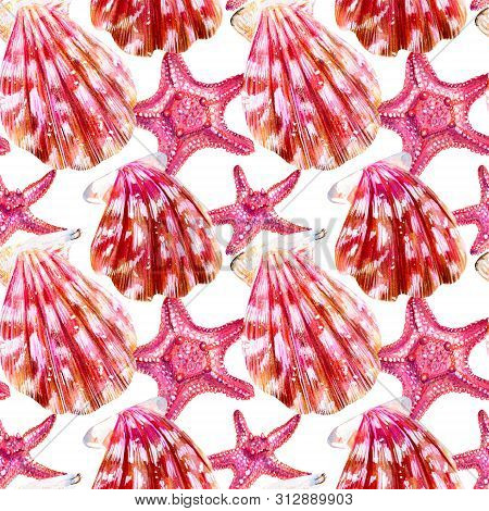 Seamless Pattern Of Scallop Shells. Mother Of Pearl With Pink Clam Pectinidae And Starfish On A Whit