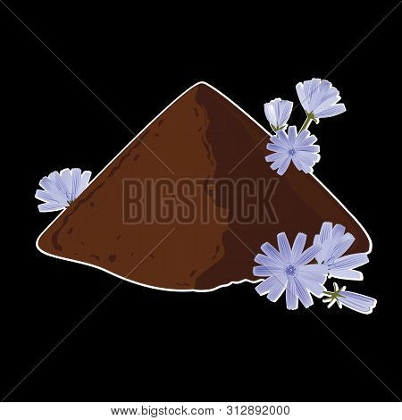 Instant Chicory Root Roasted Powder, And Fresh Chicory Flowers. Natural Source Of Inulin, Black Back
