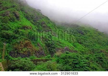 Vagamon, Kerala, India- 07 July 2019: Pine Forest In Vagamon Hills