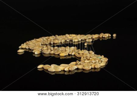 Lot Of Whole Fresh Beige Dinkel Wheat Grain Snake Shape Isolated On Black Glass
