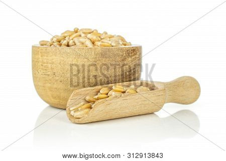 Lot Of Whole Fresh Beige Dinkel Wheat Grain In A Wooden Bowl With Wooden Scoop Isolated On White Bac