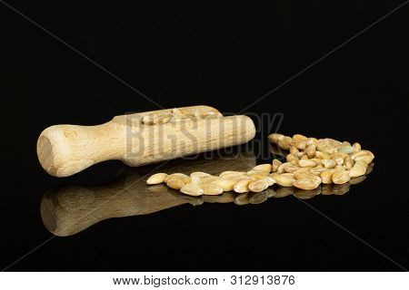 Lot Of Whole Fresh Beige Dinkel Wheat Grain With Wooden Scoop Isolated On Black Glass