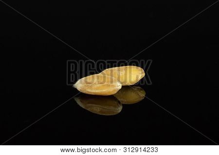 Group Of Two Whole Fresh Beige Dinkel Wheat Grain Macro Isolated On Black Glass
