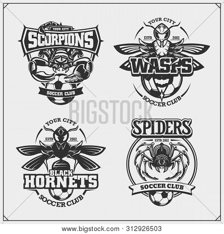 Set Of Vector Football And Soccer Badges, Labels And Design Elements. Sport Club Emblems With Scorpi