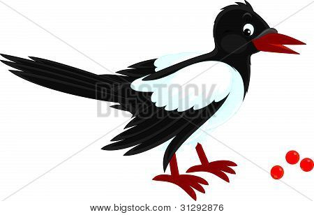 Magpie