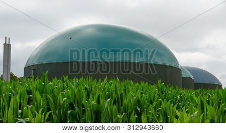 Biogas Plant For Generating Electricity And Generating Energy During