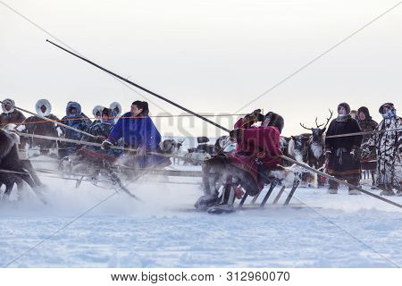 Nadym, Russia - February 23, 2019: Yamal, Open Area, Tundra,the Extreme North,  Races On Reindeer Sl