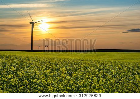 Sunset Over Wind Turbines In A Canola Field On The Prairies In Saskatchewan, Canada