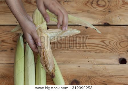 Young Female Cleaning Freshly Picked Raw Corns From Cobs On Wooden Background. Process Of Shucking C