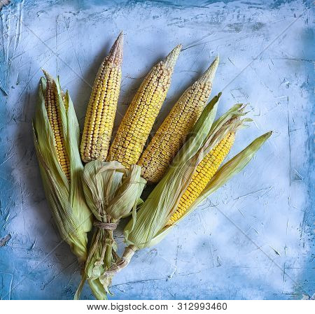 Corn Bouquet On Bright Blue Background. Bouquet Made With Partially Shucked Sweet Corns With Cobs. R