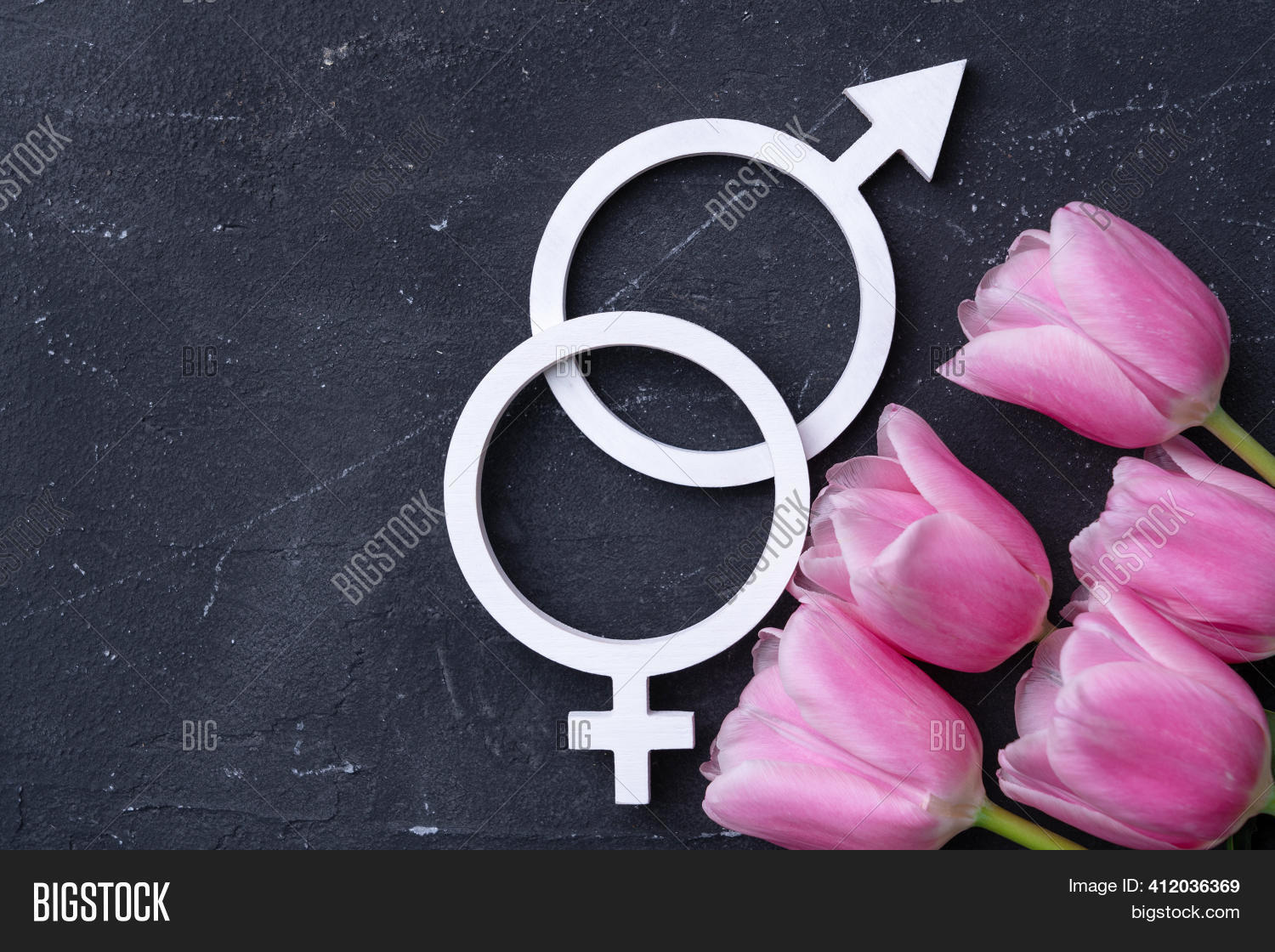 White Symbol Woman Man Image & Photo (Free Trial) | Bigstock