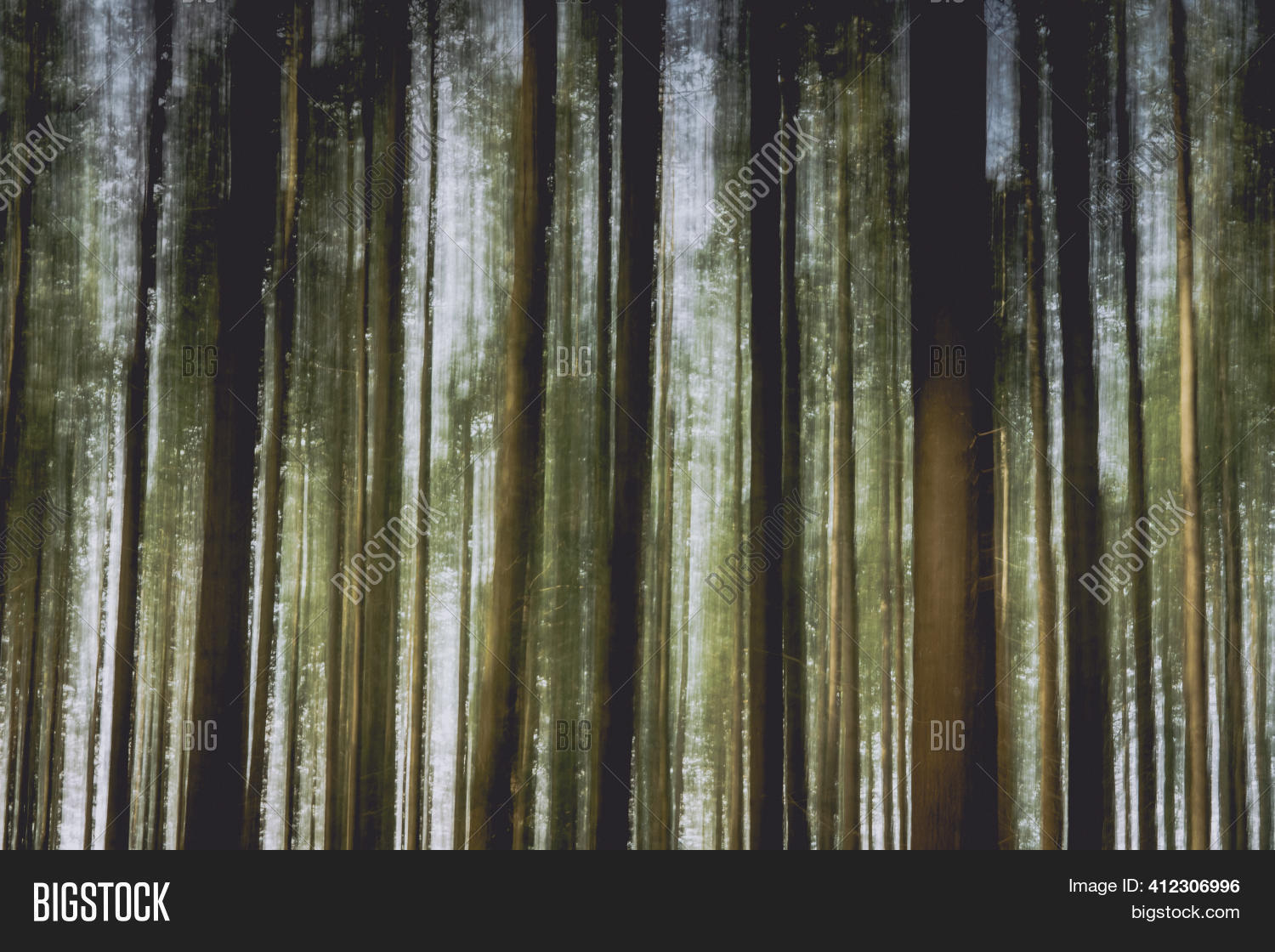 Trees Magical Light Image & Photo (Free Trial) Bigstock