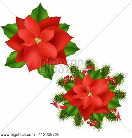 2 Poinsettia, Isolated On White Background, Vector Illustration