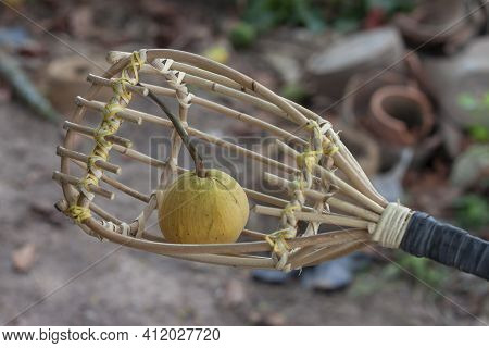 Gardeners Use A Basket Made Of Rattanstrips With A Long Handle For Picking Ripe Santol Or Sentul Fru