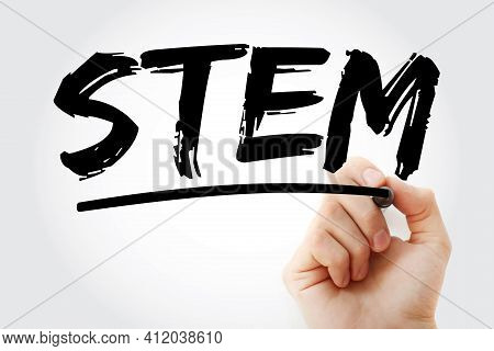 Stem - Science, Technology, Engineering, Mathematics Acronym With Marker, Education Concept Backgrou