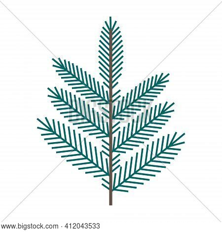 Simple Minimalistic Green Branch Of A Spruce With Needles. Floral Collection Of Elegant Plants For S