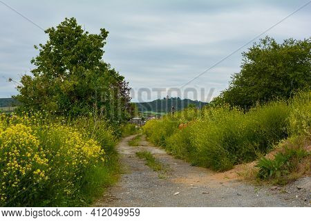 A Small Road  Between Meadow And Bushes With A View Of Ostheim, Bavaria, Germany
