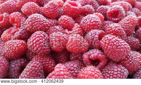 Fresh Raspberries Background Closeup Photo.close Up Macro Photography