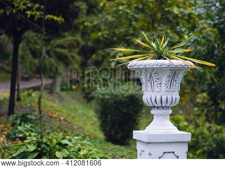 Urns With Flowers In The Autumn Park. Stone Pot With Plants In A Country Garden At Dusk With Yellow-