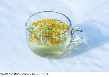 Herbal Tea With The Primula Veris Flowers In Transparent Glass Cup. Common Cowslip, Petrella, Key Of