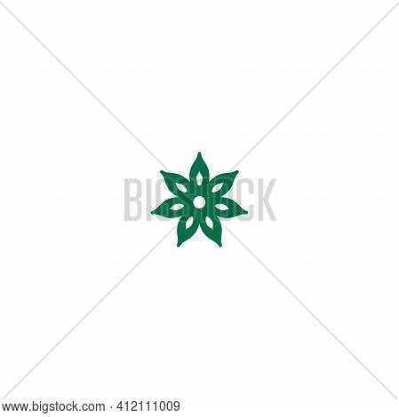 Green Anise Star Linear Icon. Vector Flat Illustration Isolated On White. Flavoring, Seasoning. Wint