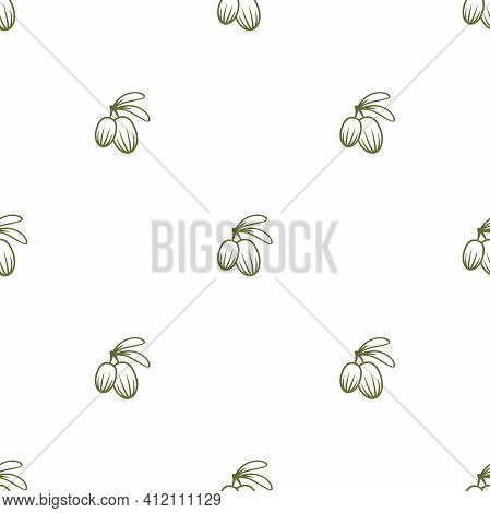 Shea Nut Green Seamless Pattern On White Background. Vitellaria Beauty And Cosmetics Ornament. Cosme