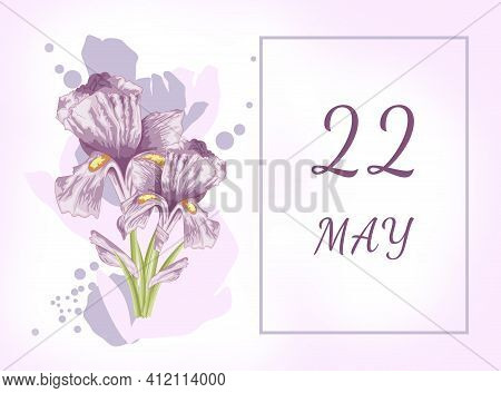 May 22. 22th Day Of The Month, Calendar Date. Two Beautiful Iris Flowers, Against A Background Of Bl