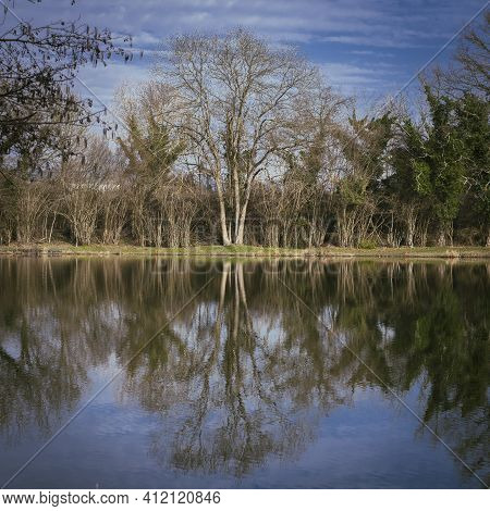 Landscape With Trees, Reflecting In The Water
