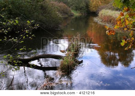 unberührte Fluss im Naturschutzgebiet