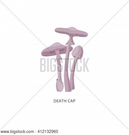 Card With Death Cap Inedible Mushrooms Flat Vector Illustration Isolated.