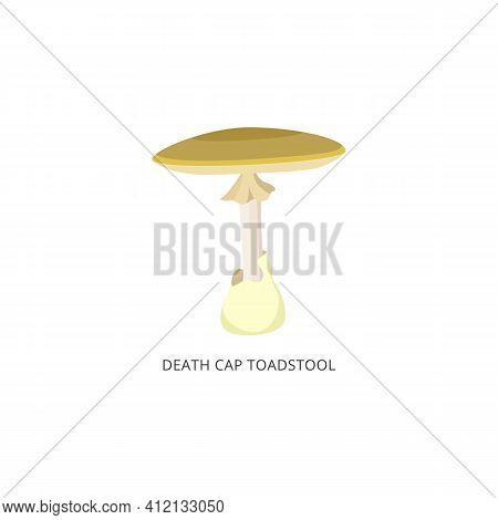 Toadstool Death Cap Autumn Forest Poison Mushroom A Flat Vector Illustration.
