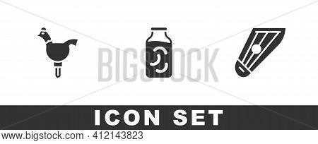 Set Cockerel Lollipop, Pickled Cucumbers In A Jar And Kankles Icon. Vector