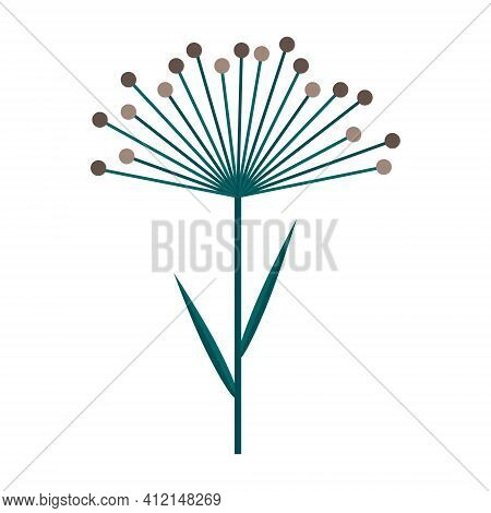 Umbrella Of Dill Or Cereal Plant. Simple Minimalistic Green Branch With Leaves And Brown Flowers. Na
