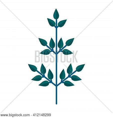 Simple Minimalistic Green Branch Of Tree With Leaves. Floral Collection Of Elegant Plants For Season