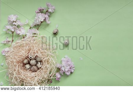 Cherry Blossom Branches, Pink Flowers, Bird Nest With Dotted Quail Eggs On The Light Green Textured 