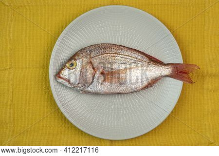 The Red Snapper Fish (dentex Dentex) In The Dish
