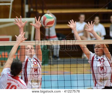 KAPOSVAR, Hungría - 13 de enero: Timea Kondor (8) en acción en el gam de voleibol de la Liga húngara de I.