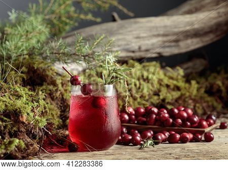 Cranberry Cocktail With Berries, Ice, And Rosemary In Frozen Glass. In The Background Berries, Moss,