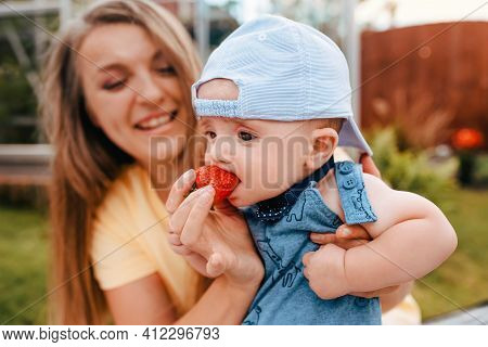 Happy Mother Holding And Feeding Child Strawberries In The Garden In Summe