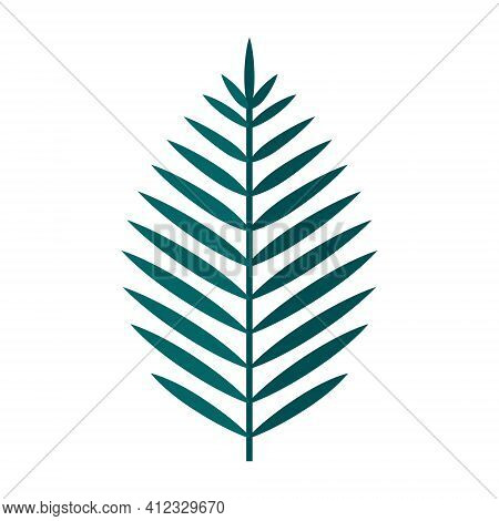 Simple Minimalistic Green Branch Of Palm Tree With Leaves. Floral Collection Of Elegant Plants For S