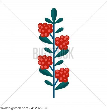 Simple Minimalistic Green Branch Of Raspberry With Leaves And Red Berries. Floral Collection Of Eleg