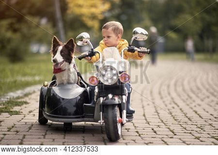 caucasian little boy  driving dog in sidecar of a motorcycle replica outdoor in a park