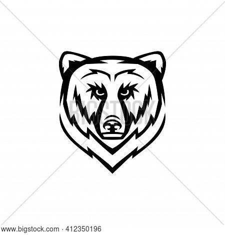 Bear Face Logo Esport Icon Graphic Elements Silhouette