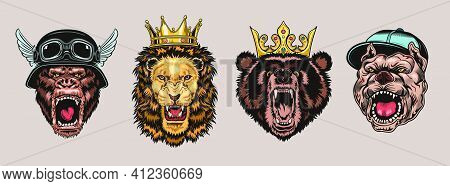 Animal Angry Characters Set. Gorilla In Biker Helmet, Lion And Bear In Riyal Monarch Crown, Bulldog 