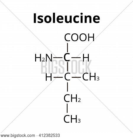 Isoleucine Amino Acid. Chemical Molecular Formula Isoleucine Amino Acid. Vector Illustration On Isol