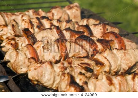 Snish Kebab