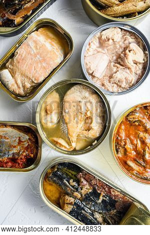 Set Aluminium And Tin Cans With  Saury, Mackerel, Sprats, Sardines, Pilchard, Squid, Tuna Over White