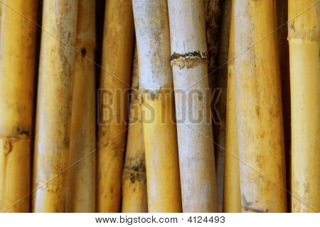 Bastones amarillos