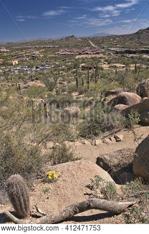 Arizona Desert Landscape