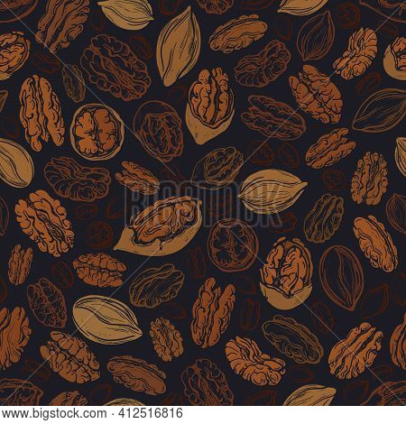 Pecan Brown Nuts Seamless Pattern. Vector Texture Illustration Of Dry Seeds On Black Background. Vin